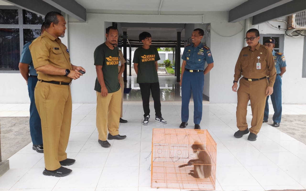 Danlanal Ranai Menyerahkan Hewan Kekah Ke Pemerintah Kab. Natuna